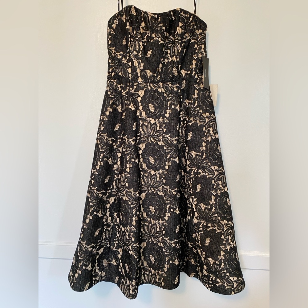 Elegant Black and Cream Lace Dress